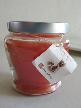 Cinnamon Spice Designer Candle 12.5 oz Burn time 65 hours Home Interiors New